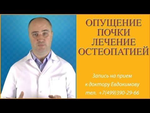 Опущение почки. Лечение остеопатией