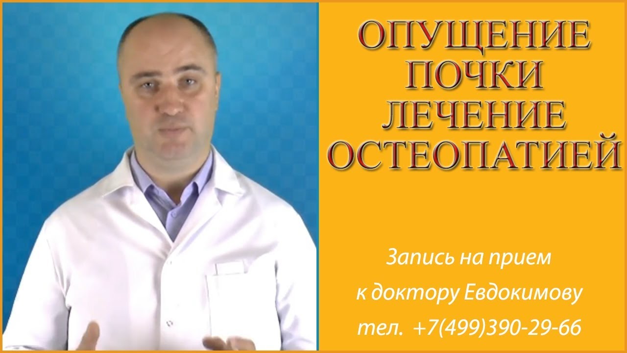 Опущение почки. Лечение остеопатией