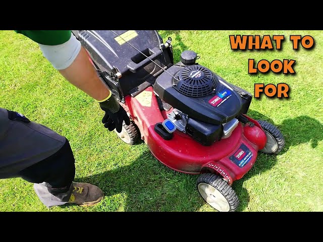 Choosing A LAWN MOWER For Professional Use 