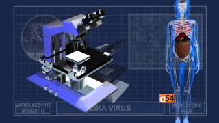Health Report: Zika Virus and Mosquito Control