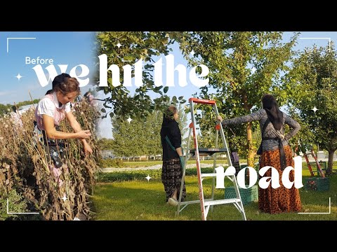 the week before we left.....vlog 165