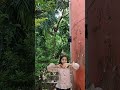 BAIRI SONG DANCE🥰😍😘✨