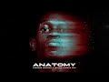 Tsebebe x Major League Djz Anatomy (Official Audio)