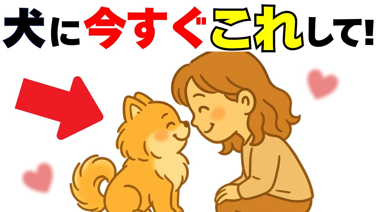 【9割が知らない】犬が本気で喜ぶ愛の伝え方１０選｜犬の厳選雑学