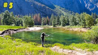 Fly Fishing the ICONIC Yosemite National Park || California Gold Pt 5