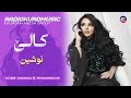 نوشین کالی Noushin Kale 