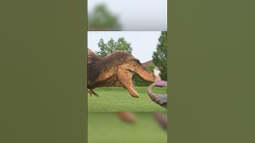 ⚔️ Dino Battle! Ankylosaurus vs. T-Rex! Epic Showdown! @DinoKids