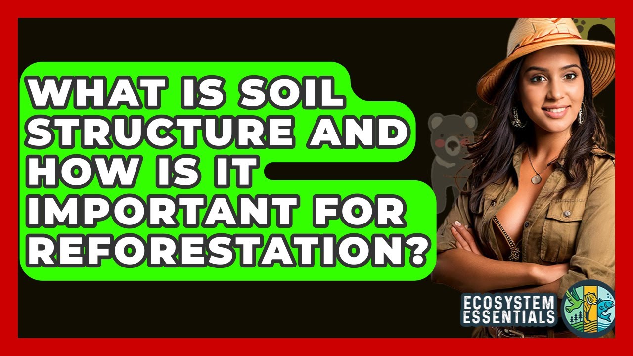 What Is Soil Structure And How Is It Important For Reforestation? - Ecosystem Essentials