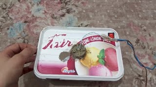 Bi̇ber Veya Havuç Vb. Gi̇bi̇ Şeyleri̇ Doğrayan Maki̇nami Tanitiyorum