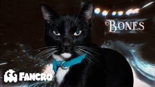 Imagine Dragons - Bones (Cover Gato) by Fancro 6,077 views 1 year ago 2 minutes, 55 seconds