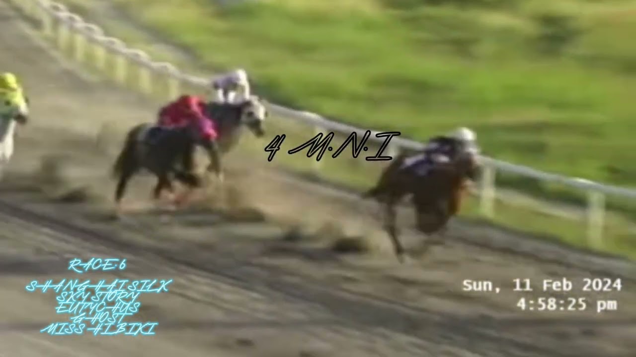 GHOST / SKY STORY / SHANGHAI SILK / MISS HIBIKI / EUTYCHUS RACE 2024.