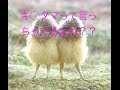 こじるりが朝からキ○タマと絶叫!!※放送事故レベル