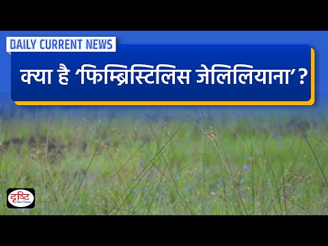 What is Fimbristylis Jaleeliana : Daily Current News | Drishti IAS