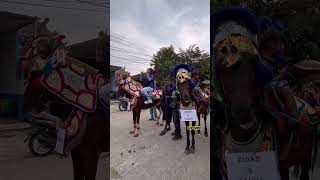 Download Lagu mamah muda asik berjoget ria di atas kuda #shorts #kudarengong #mekarlaksana MP3