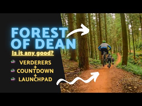 Forest of Dean... Verderers, Countdown & Launchpad. Which is your favourite?