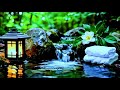 Music Therapy 🌿Soothes The Nervous System And Refreshes The Soul, Relaxing
