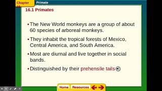 biology ch 16.1 ppt Primates lecture