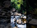 Seetharkund Waterfalls ❤️#palakkad #tourism #nature