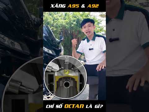 Video: Lao động đặc quyền là gì?