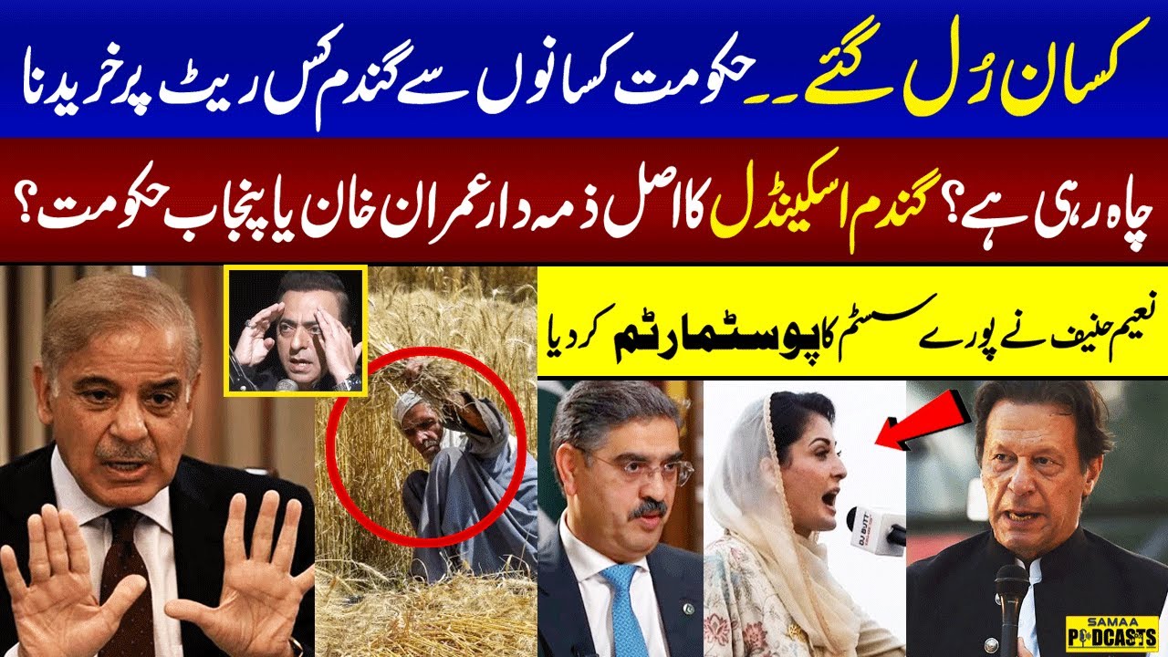 Naeem Hanif Exposed Real Culprit of Wheat Scandal | Farmers Protest ...