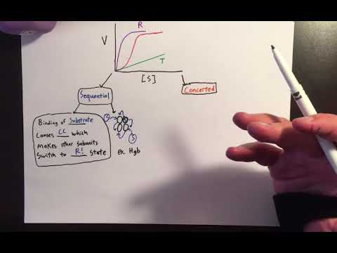 Allosteric Enzymes: Sigmoidal Kinetics