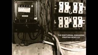 Nocturnal Emissions - Punishment