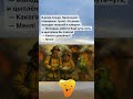 #анекдоты #юмор #смех #приколы #шутки #вовочка #смешныеистории #хохот #юмор2025 #короткиеанекдоты