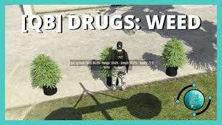[QBCORE] DRUGS: OUTDOOR WEED SCRIPT