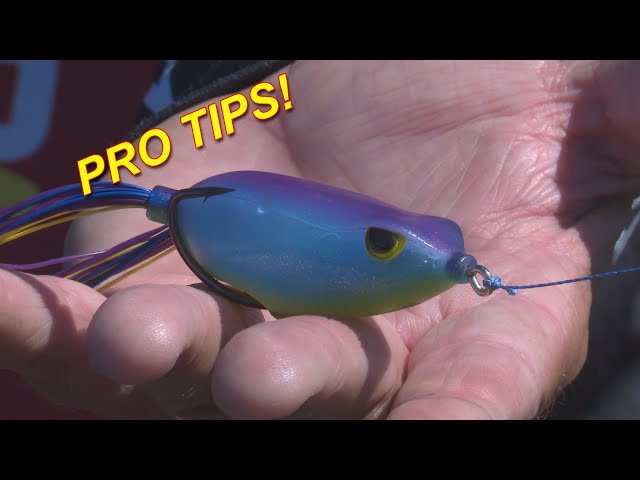 Summer Frog Fishing Tips