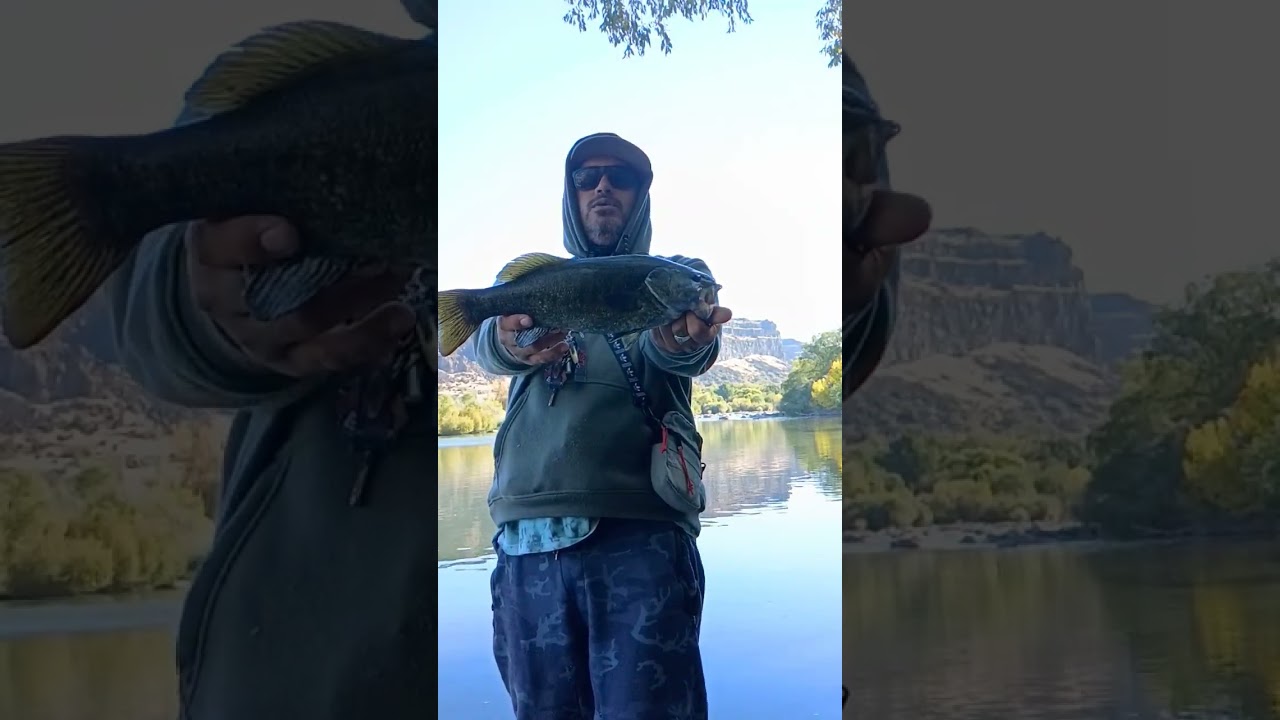 Idaho Smallmouth Bass 