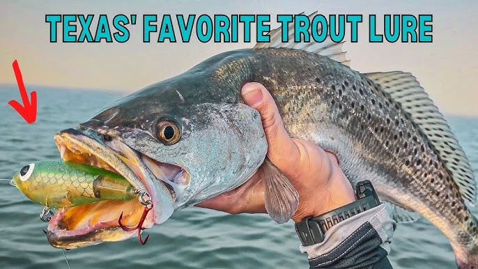10 Best Speckled Trout Lures