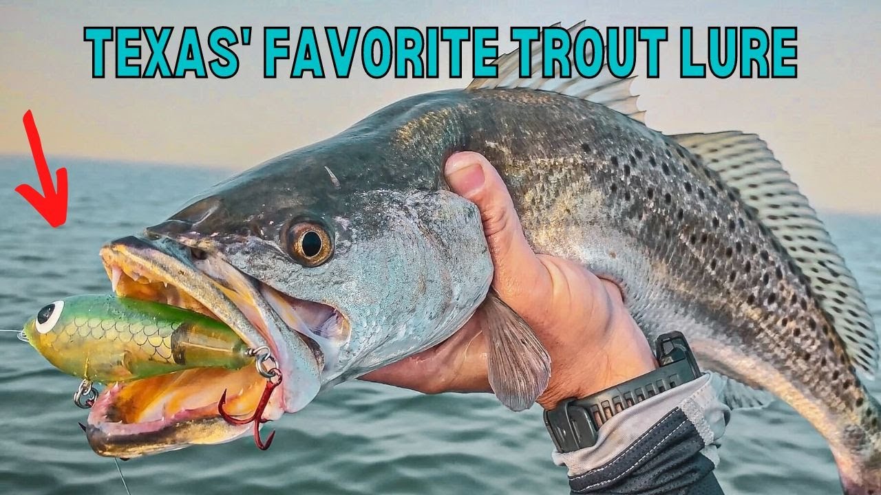 Texas' Favorite Lure For Trout (Does It Work In Other States
