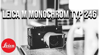 Leica M Monochrom Typ 246  All in on Black & White