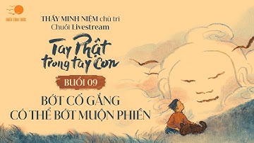 Thầy Minh Niệm I Buổi 09: Bớt cố gắng có thể bớt muộn phiền I Chuỗi TPTTC I 13.12.2024