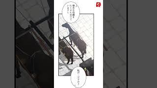 【comico】愛のない契約結婚のはずでした