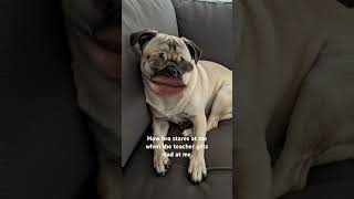 If You Click The Sound Ill Tickle You