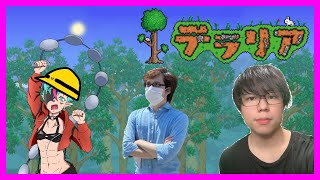 【ゼロから始めるTerraria生活】なんもしらん【Terraria】