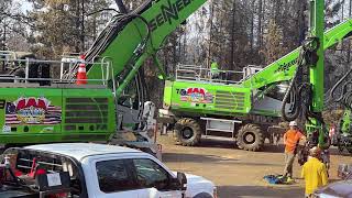 AAA Tree Service & Construction - 2003 BARK BEETLE PROJECT