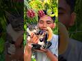 FOOD ASMR🍇🍇🍈 #shorts #reverse #food #mukbang #funny #fruit #cat #cute #pets