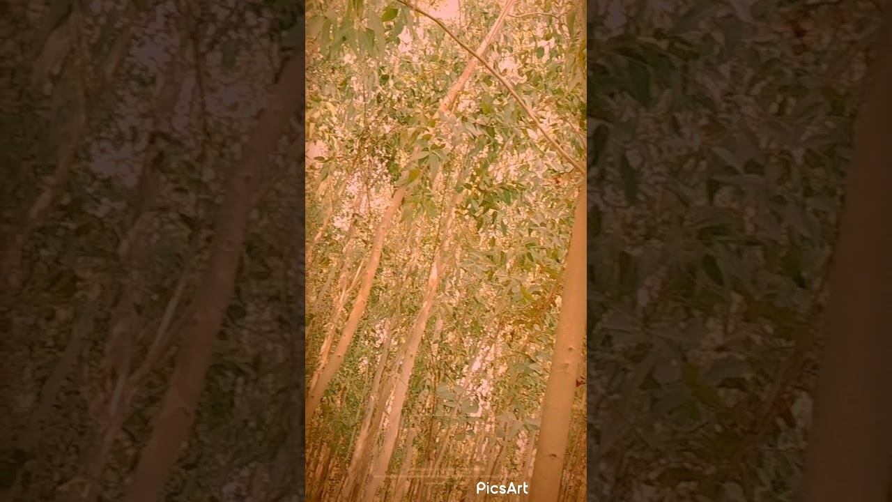 judaiyaan ( whatapp + instagram etc. status 🥰