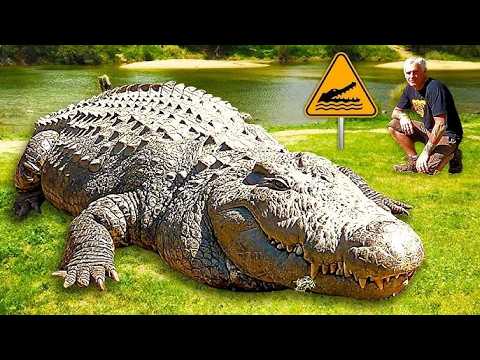 Crocodile: The Silent River Killer