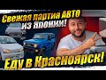 Новые поступления авто из Японии❗ПОСТАВКИ РАСТУТ❗ESTIMA❗JIMNY ❗PRADO❗CRV❗