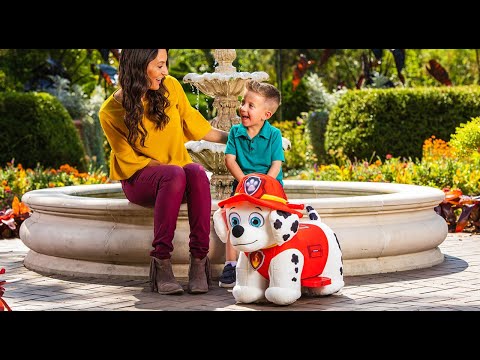 Nick Jr Paw Patrol Skye 6v Plush Ride On Toy For Toddlers By Huffy 155 hqdefault