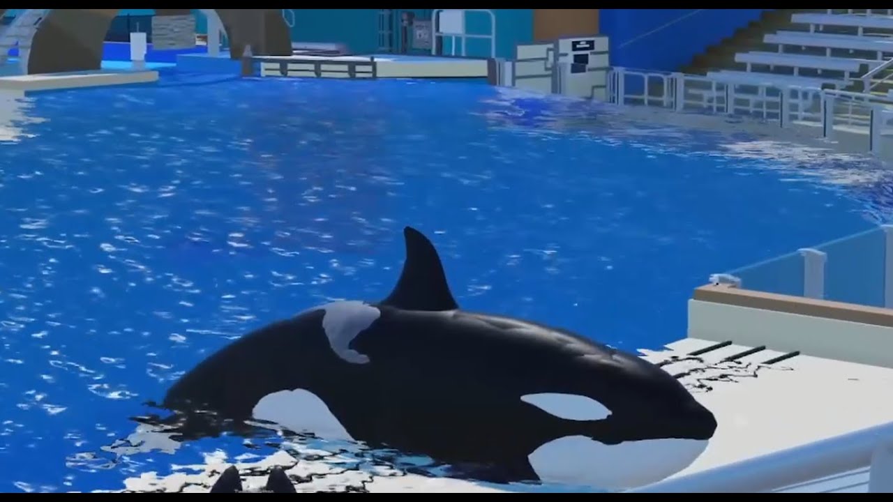 A Glimpse Into Orca Encounter | (Full Mini Show) | SeaWorld Orlando ...
