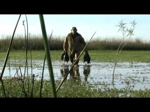 Argentina Duck Hunting with SyC Sporting Outfitters