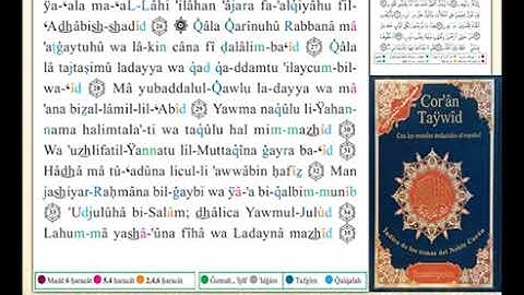 ختمة من مصحف التجويد باللغة الإسبانية الصفحة رقم 519