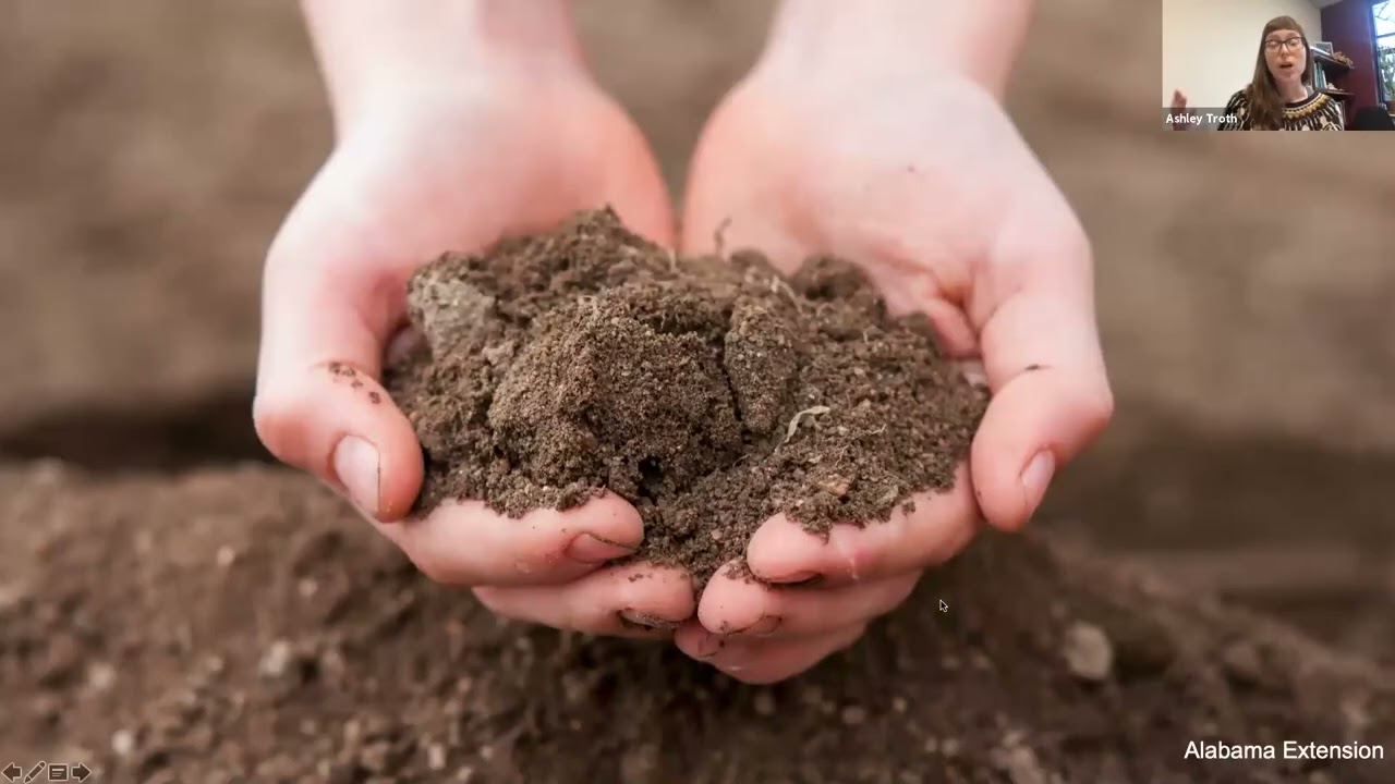 The Dirt on Soil - Hattie Meadows Gardening School