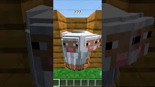 Nereye Kayboldular??