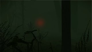 The Cursed Forest | Part 3: Swamps