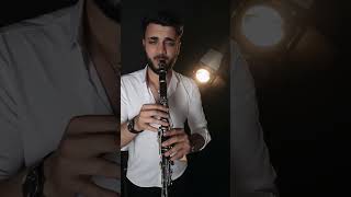 Любовь похожая на сон ❤️ #cover #clarinet